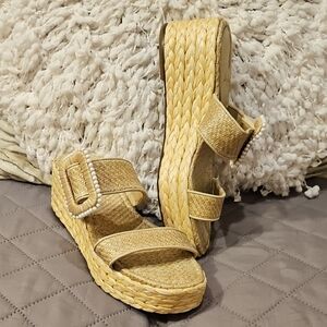 Sam Edelman Chase Flatform Tan Espadrille Platform Wedge Shoes